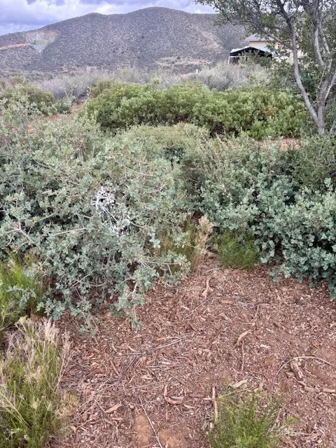 Custom outdoor landscaping in Chino Valley, AZ by Prescott Roots Landscaping