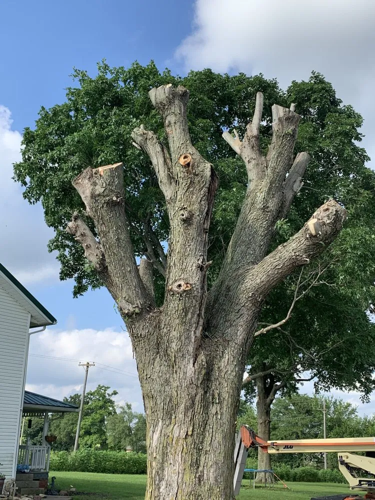 Professional outdoor landscaping in Trenton, MO by Prescott Tree & Landscape