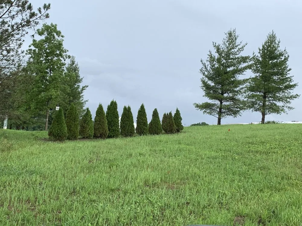 Trusted landscaping services experts serving Trenton, MO - Prescott Tree & Landscape