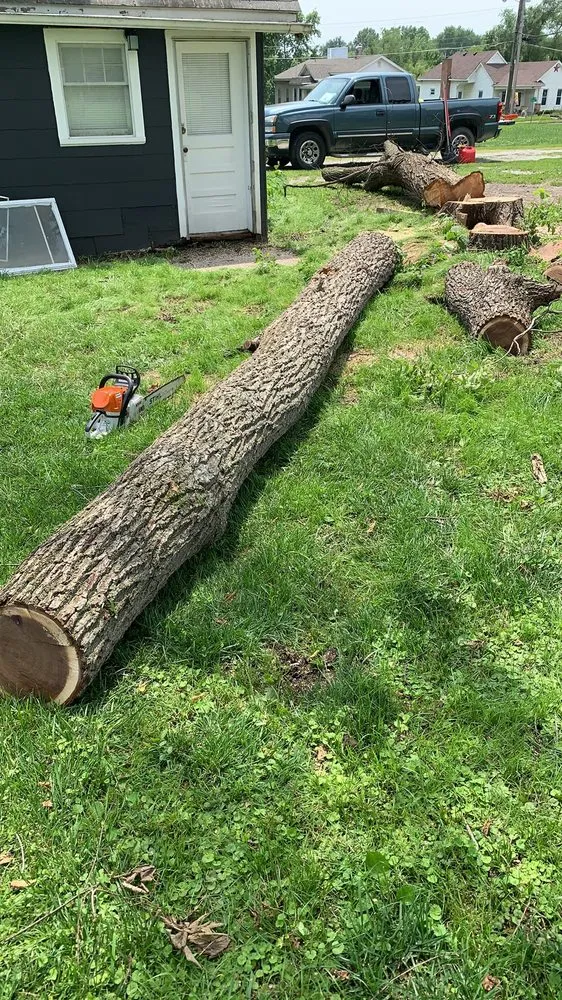 Reliable landscaping services for outdoor upgrades across Trenton, MO - Prescott Tree & Landscape