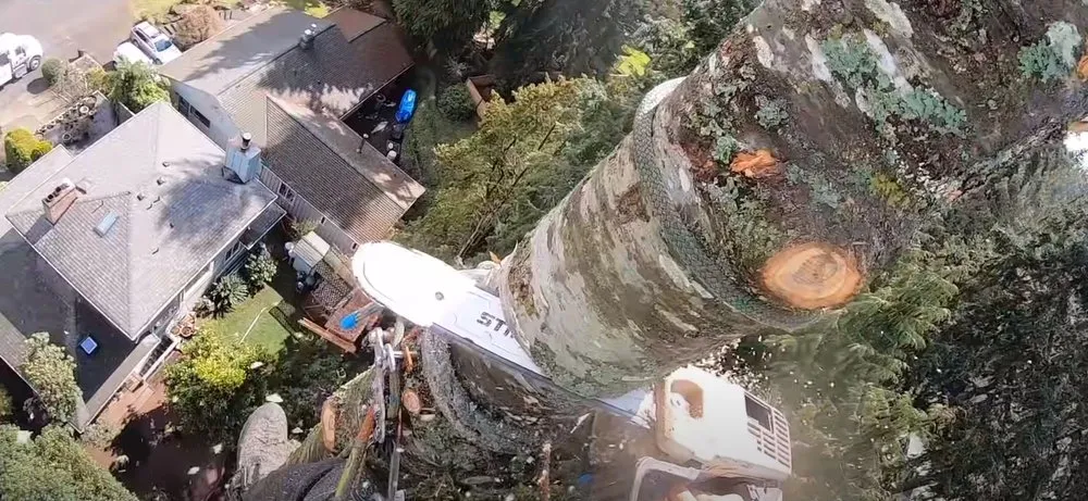 Custom landscaping services in Prescott, AZ by Prescott Tree Service