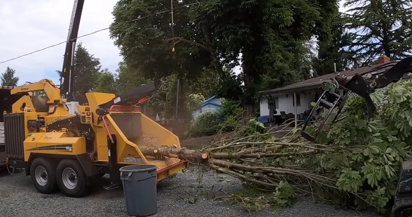 Custom yard maintenance for homes in Prescott, AZ by Prescott Tree Service