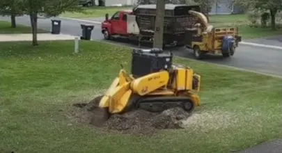 Reliable lawn mowing service in Prescott, AZ by Prescott Tree Service