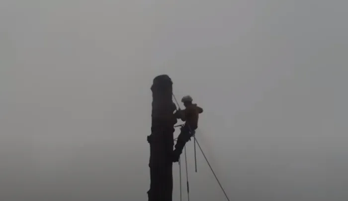 Expert outdoor landscaping in Prescott, AZ - Prescott Tree Service