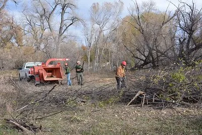Trusted outdoor landscaping in Prescott, AZ - Prescott Tree Service