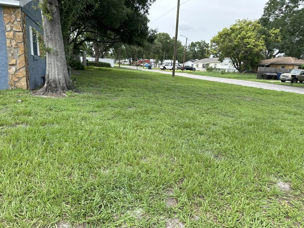 Local yard cleanup service with custom design in Tampa, FL by Prescotts Lawn & Property Maintenance