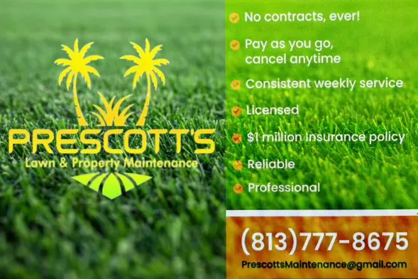 Reliable yard maintenance in Tampa, FL by Prescotts Lawn & Property Maintenance