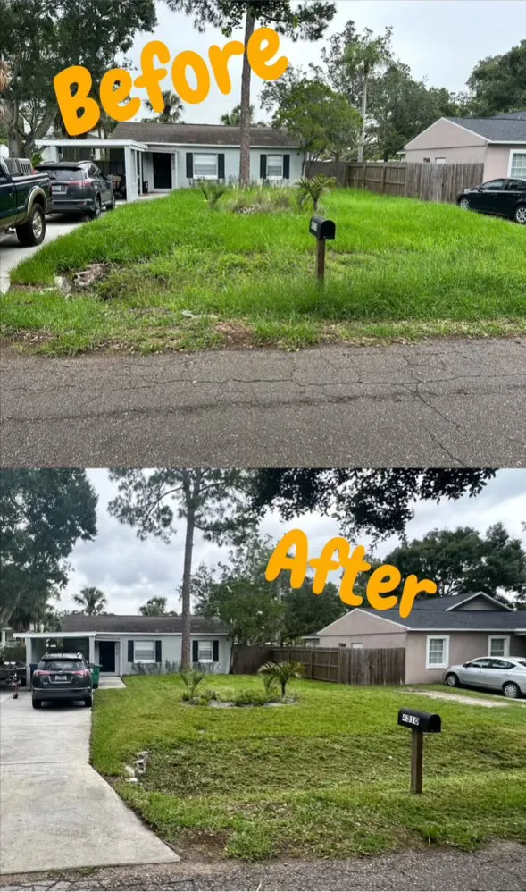 Trusted yard maintenance in Tampa, FL by Prescotts Lawn & Property Maintenance