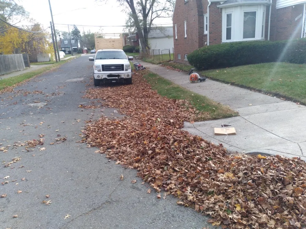 Top-rated yard cleanup service in Detroit, MI by Prescott's Lawn & Snow Service