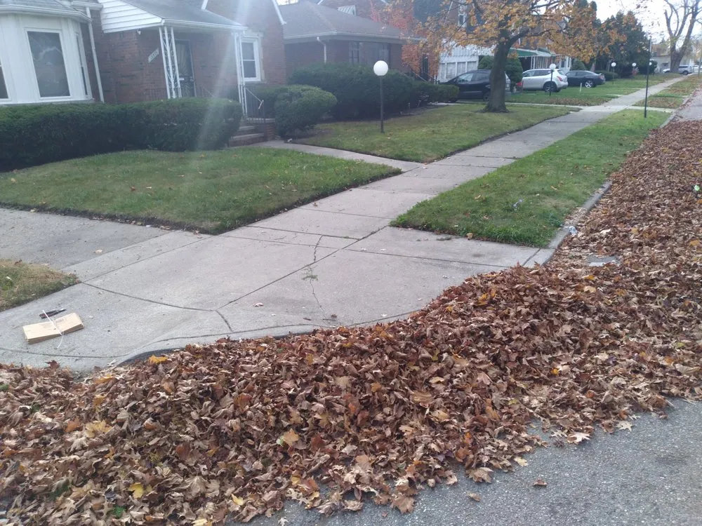 Professional yard cleanup service for year-round maintenance across Detroit, MI - Prescott's Lawn & Snow Service