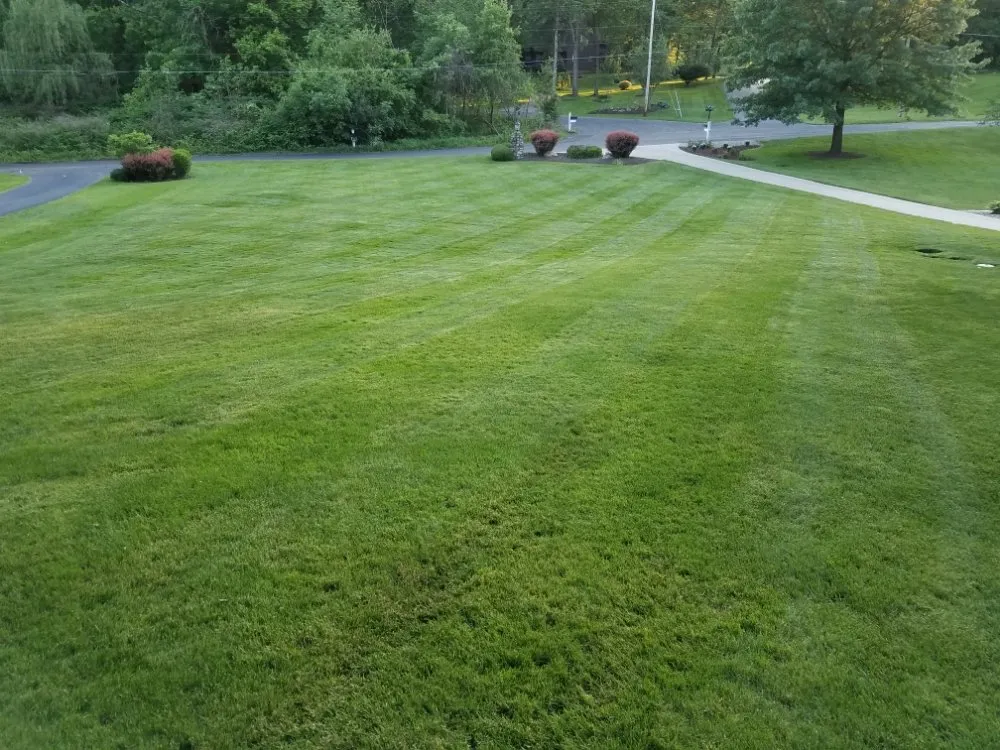 Expert outdoor landscaping experts serving Canton, OH - Prescribe Property Services