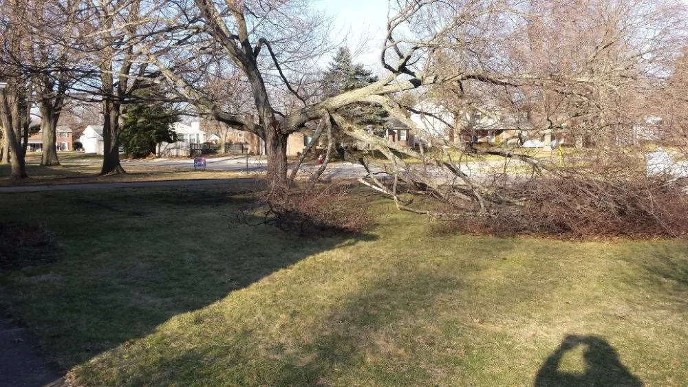 Reliable landscape design for beautiful yards across Canton, OH - Prescribe Property Services