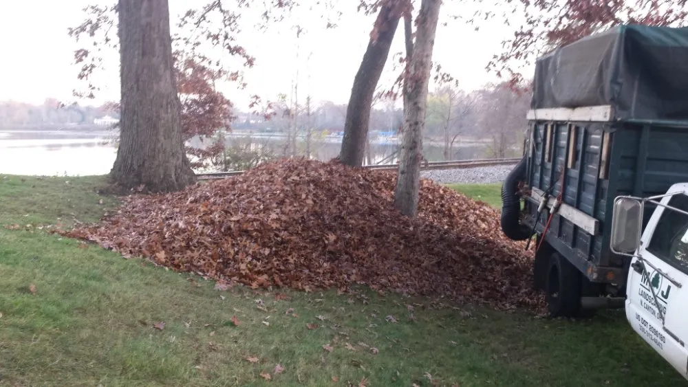 Expert outdoor landscaping for homes across Canton, OH - Prescribe Property Services