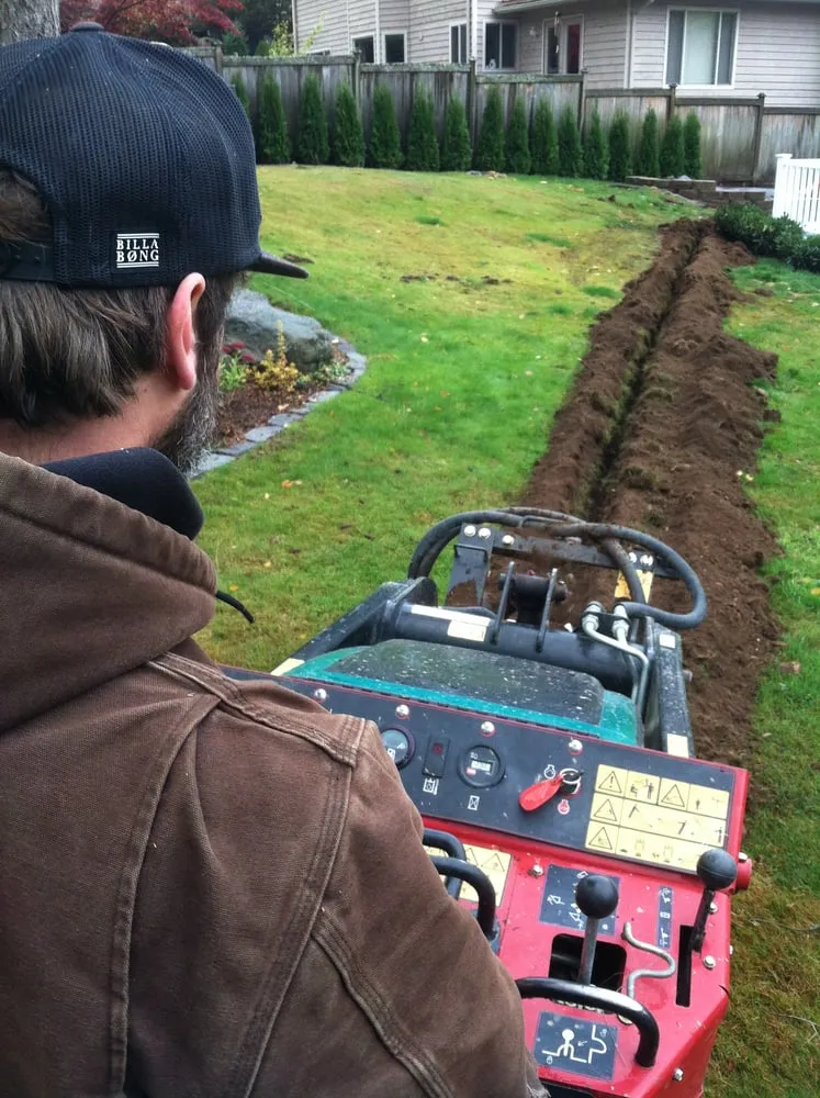 Affordable outdoor landscaping in Bellingham, WA - Preservative Services