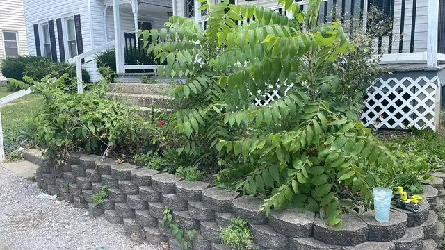 Expert lawn care service in Newark, OH by Preserve & Maintain