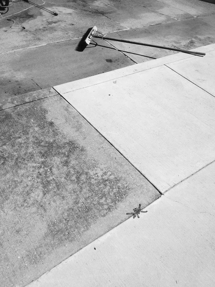 Local landscape installation experts serving Houston, TX - Preshauns Pressure Washing and Lawn Care