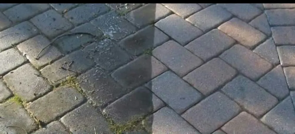 Custom landscape installation for beautiful yards in Houston, TX by Preshauns Pressure Washing and Lawn Care