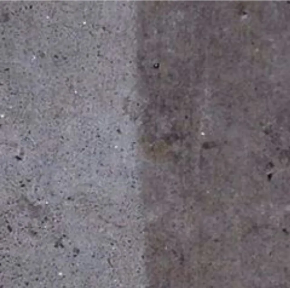 Custom lawn care service experts serving Houston, TX - Preshauns Pressure Washing and Lawn Care