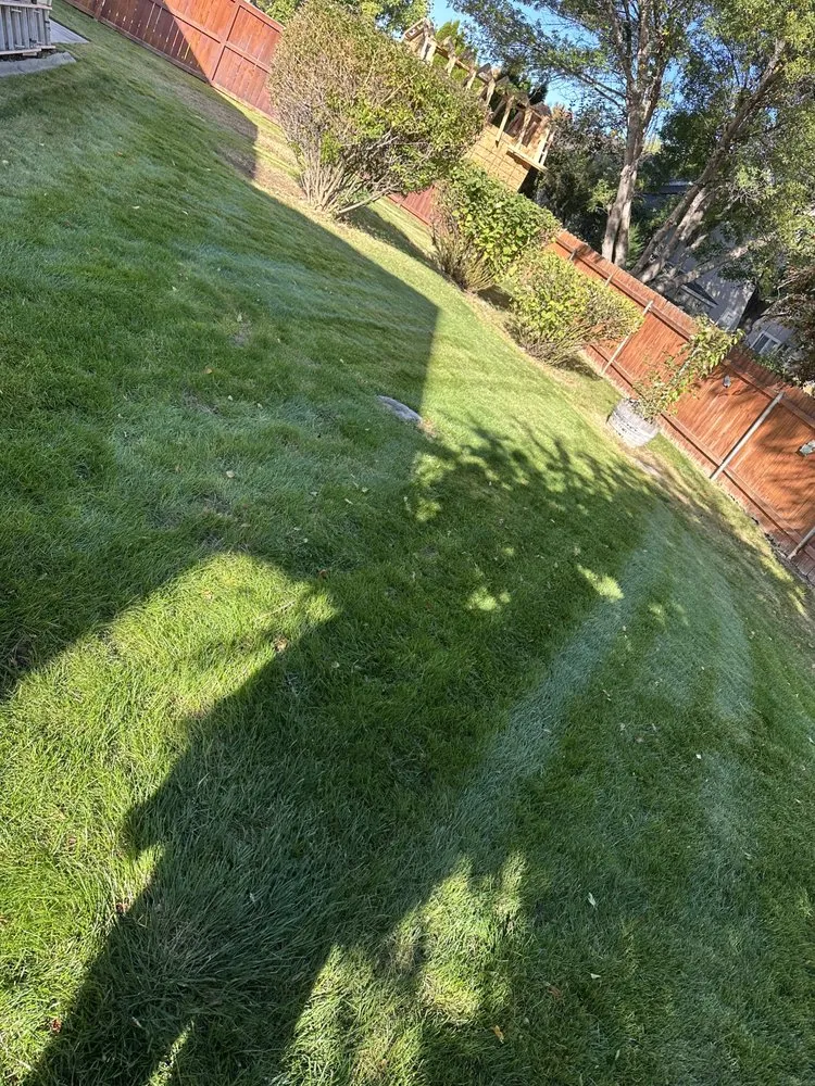 Local garden landscaping in Caldwell, ID by Presidential Landscape