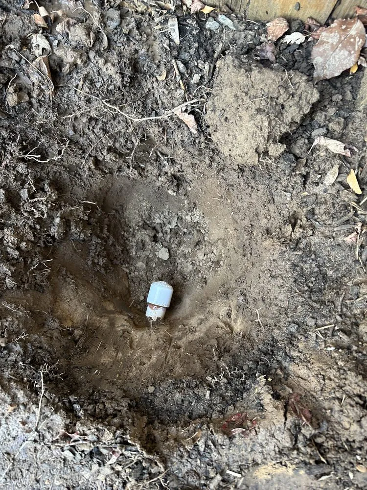 Expert residential landscaping experts serving Caldwell, ID - Presidential Landscape