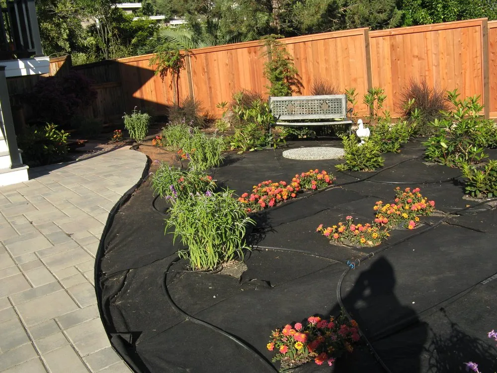 Custom landscape installation with custom design in San Rafael, CA by Presidential Landscapes