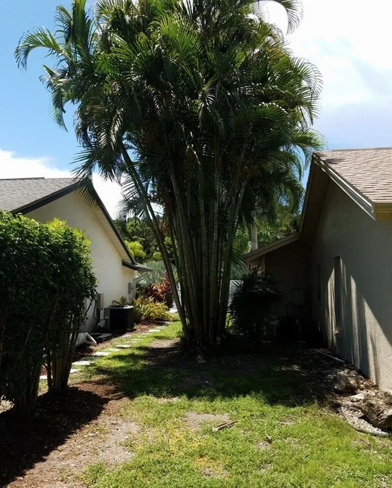 Reliable yard maintenance for residential properties in Lehigh Acres, FL by Presidential Landscaping