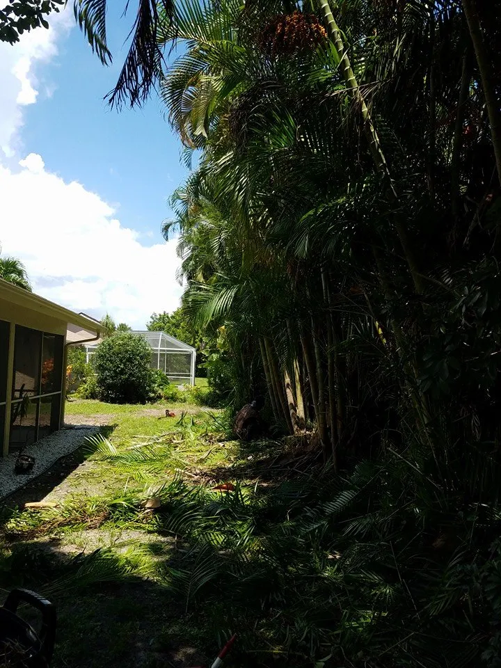 Expert outdoor landscaping for outdoor upgrades across Lehigh Acres, FL - Presidential Landscaping