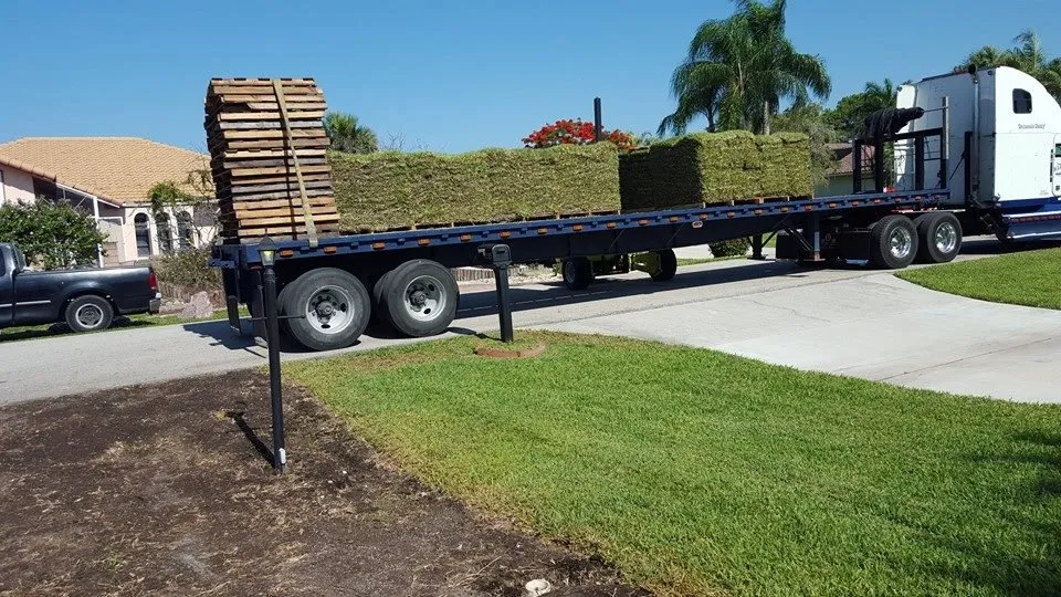 Expert yard cleanup service in Lehigh Acres, FL by Presidential Landscaping