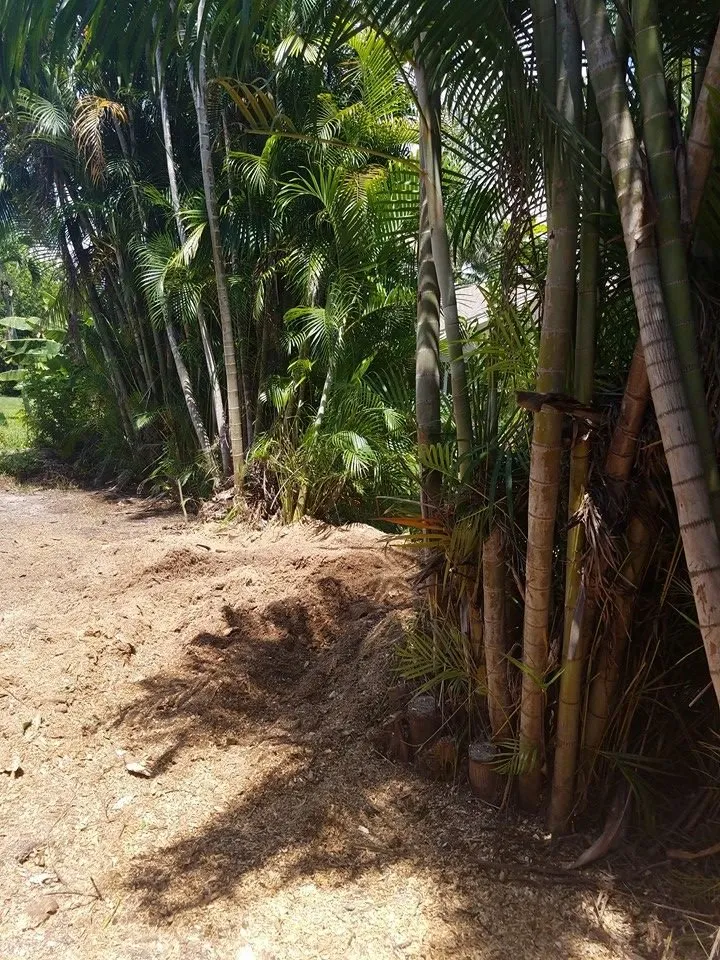 Reliable landscape design in Lehigh Acres, FL - Presidential Landscaping