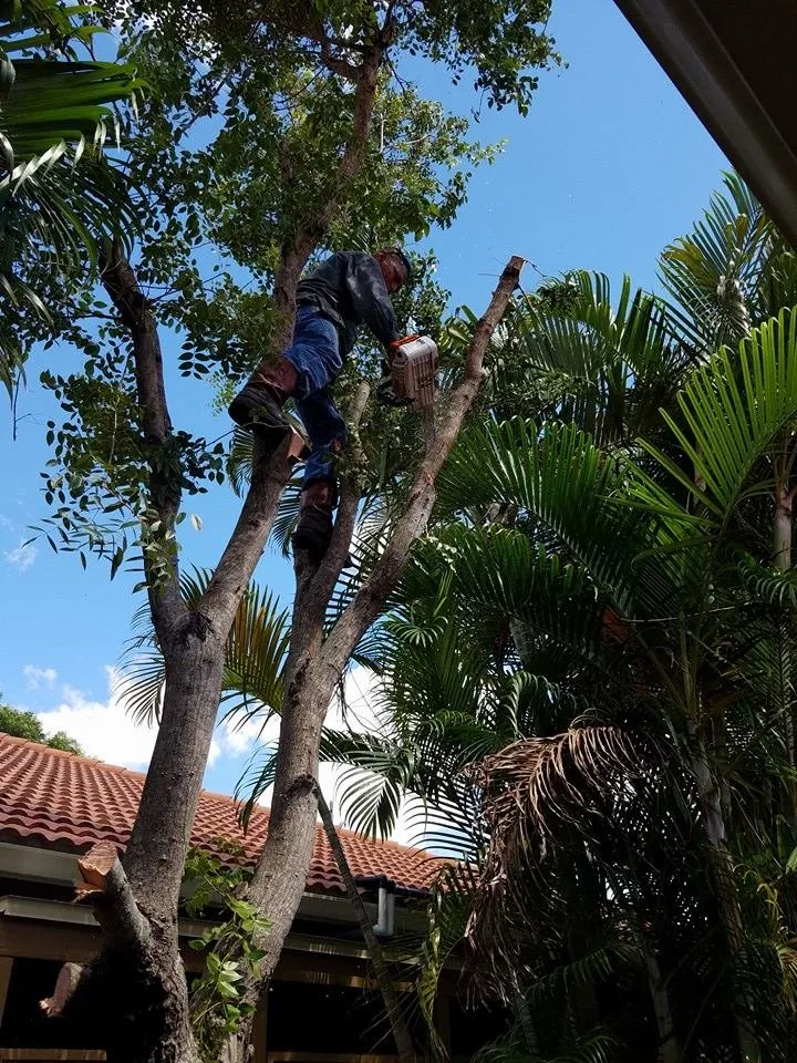 Professional landscape design in Lehigh Acres, FL by Presidential Landscaping