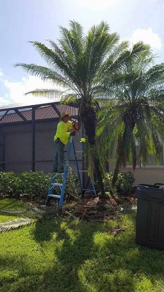 Affordable landscape installation experts serving Lehigh Acres, FL - Presidential Landscaping