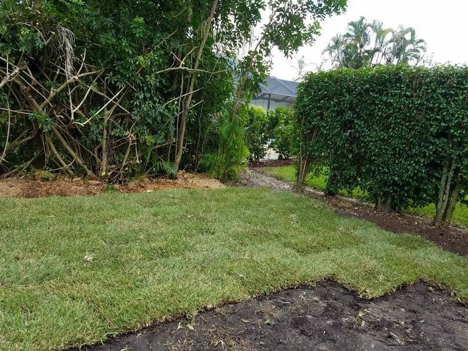 Top-rated yard cleanup service experts serving Lehigh Acres, FL - Presidential Landscaping
