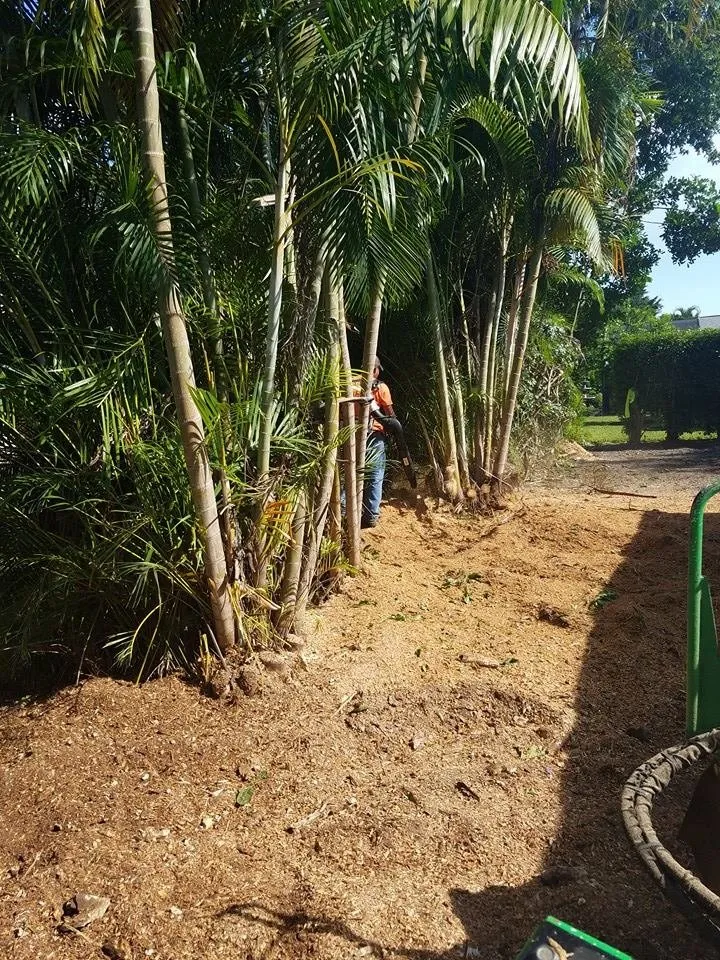 Custom landscape design near you across Lehigh Acres, FL - Presidential Landscaping