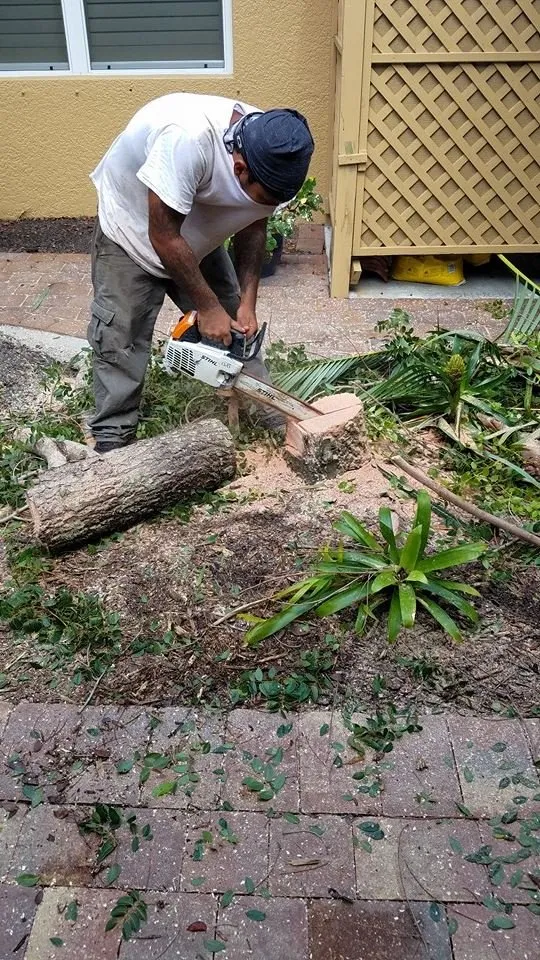 Top-rated landscaping services for beautiful yards across Lehigh Acres, FL - Presidential Landscaping