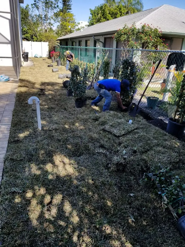 Affordable yard cleanup service for outdoor upgrades across Lehigh Acres, FL - Presidential Landscaping