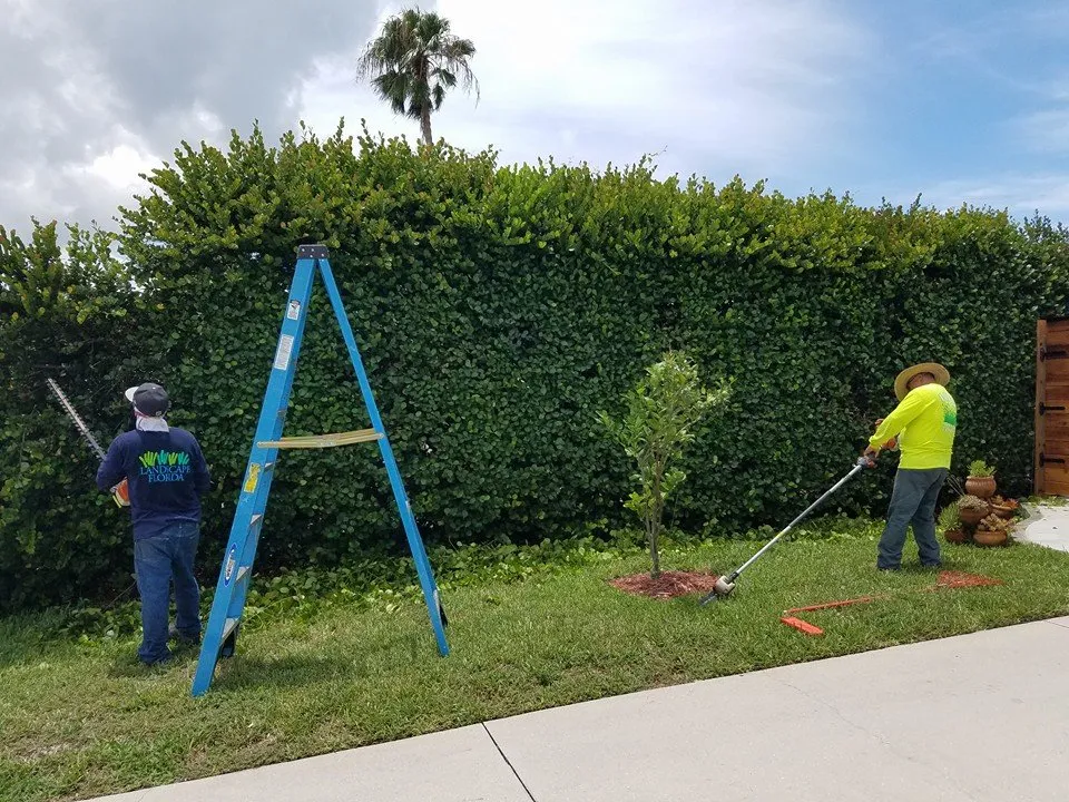 Professional lawn mowing service experts serving Lehigh Acres, FL - Presidential Landscaping