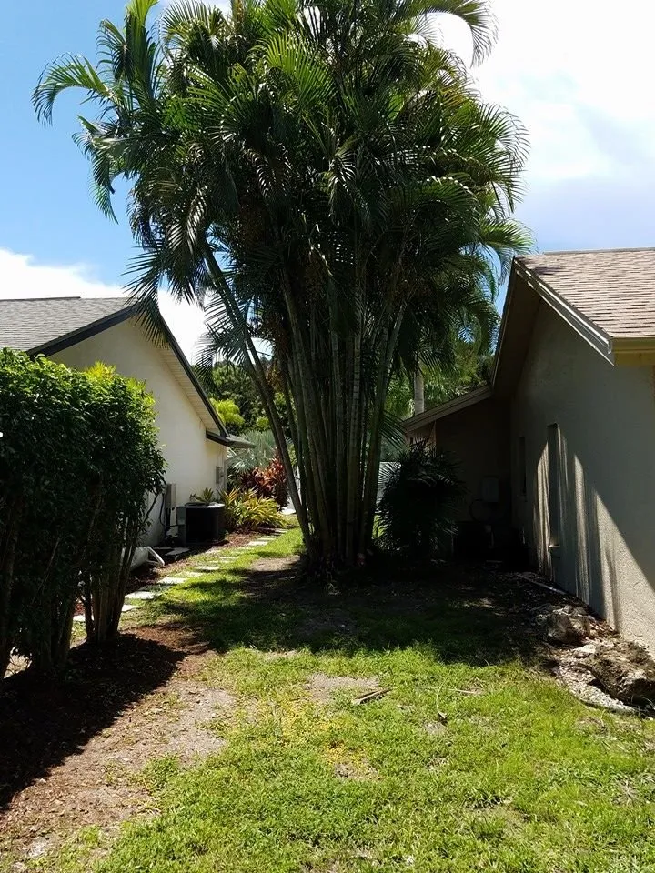 Reliable landscape design in Lehigh Acres, FL - Presidential Landscaping