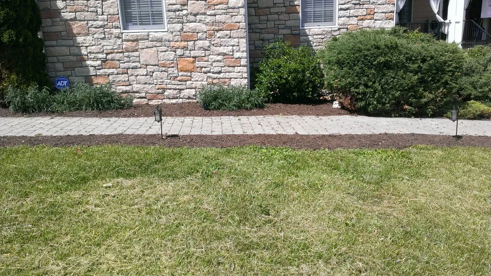Custom landscaping services for year-round maintenance across Front Royal, VA - Presidential Landscaping Services