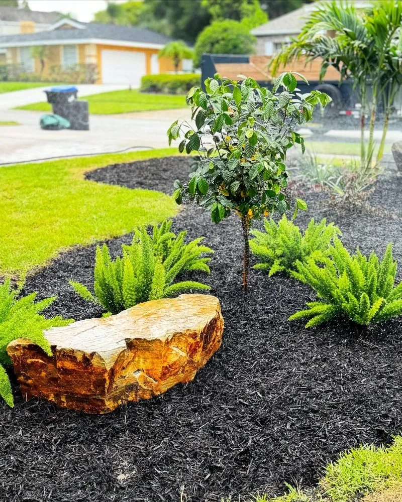 Reliable residential landscaping in Santa Rosa Beach, FL by Presidential Lawn & Order