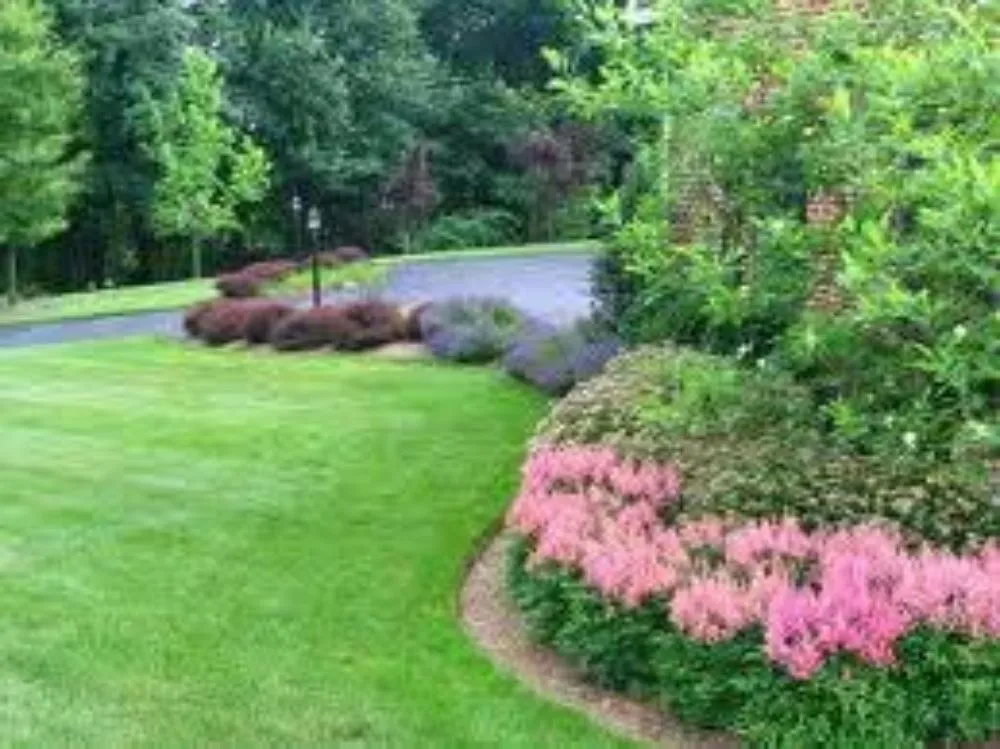 Professional lawn care service in Santa Rosa Beach, FL - Presidential Lawn & Order