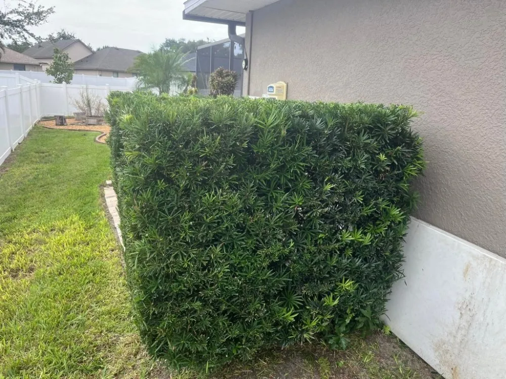 Trusted garden landscaping for homes across Santa Rosa Beach, FL - Presidential Lawn & Order