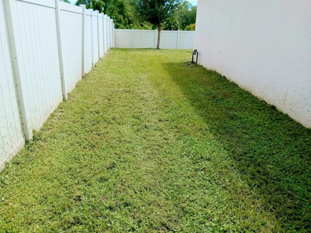 Affordable landscaping services in Santa Rosa Beach, FL - Presidential Lawn & Order