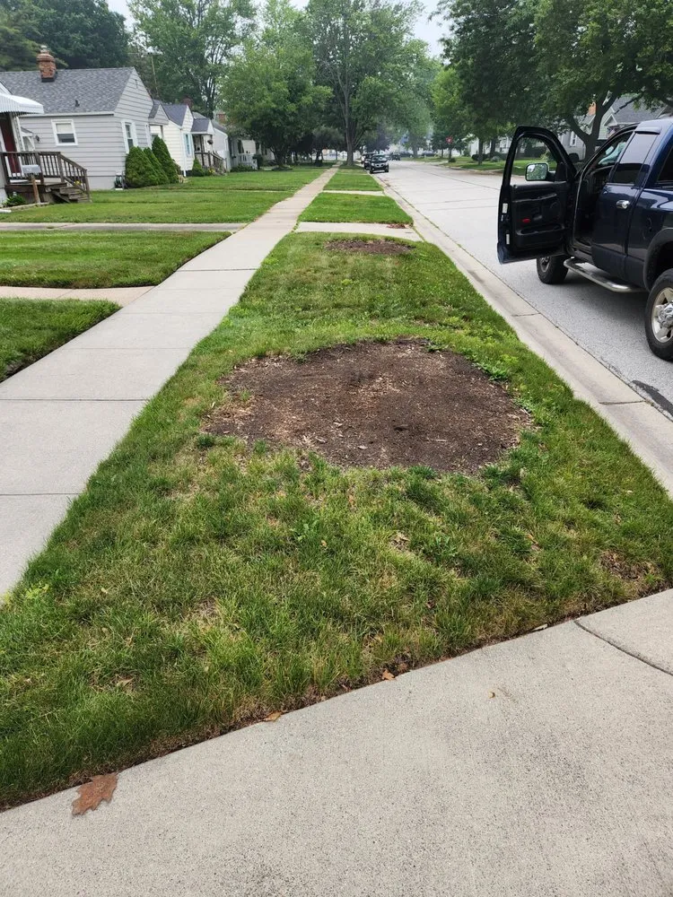 Reliable residential landscaping in Lakeport, MI - Presidential Lawn Care