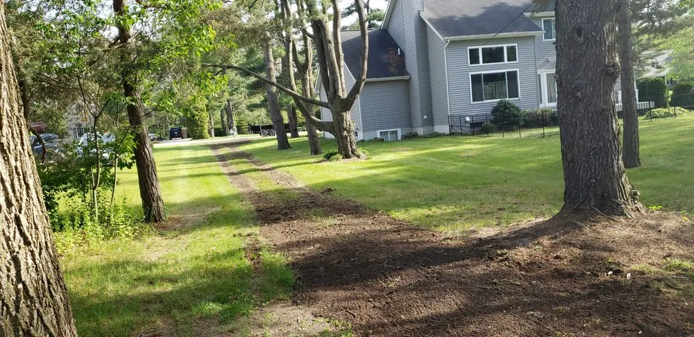Expert landscape installation for beautiful yards in Lakeport, MI by Presidential Lawn Care