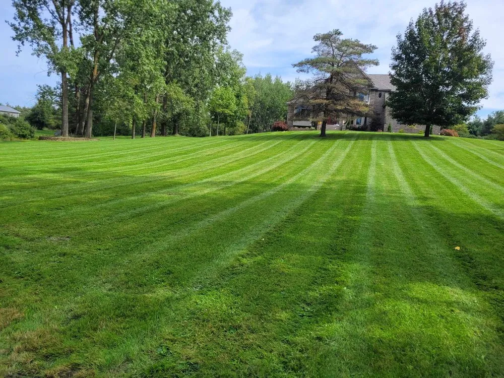 Reliable yard maintenance for year-round maintenance across Lakeport, MI - Presidential Lawn Care