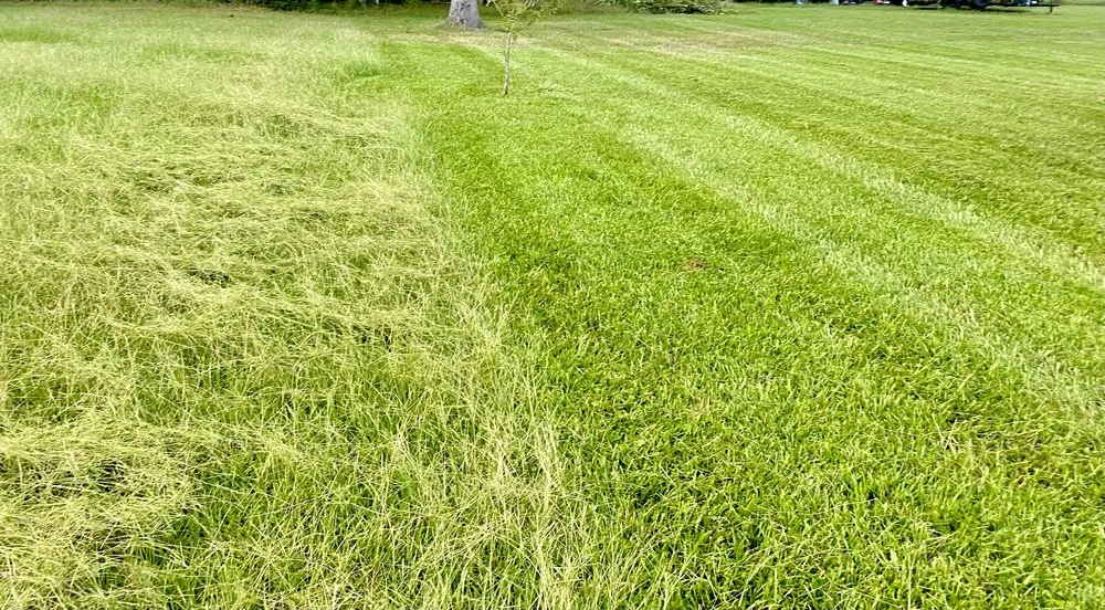 Professional outdoor landscaping in Prosperity, SC - Presidential Lawn Care