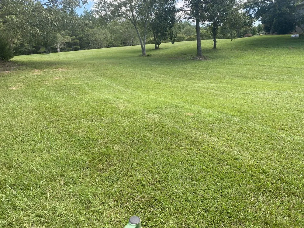 Trusted outdoor landscaping experts serving Prosperity, SC - Presidential Lawn Care