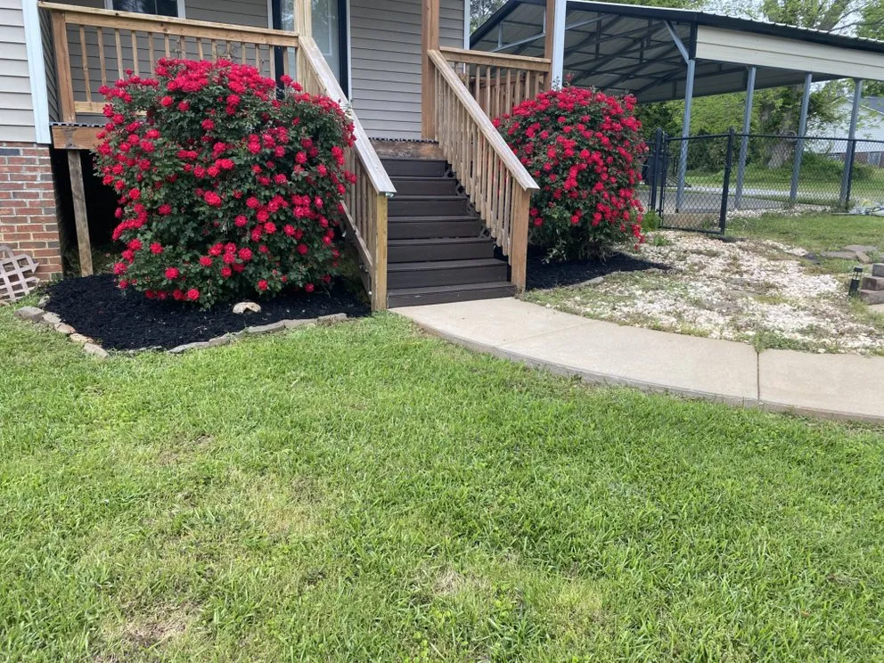 Top-rated outdoor landscaping in Prosperity, SC - Presidential Lawn Care