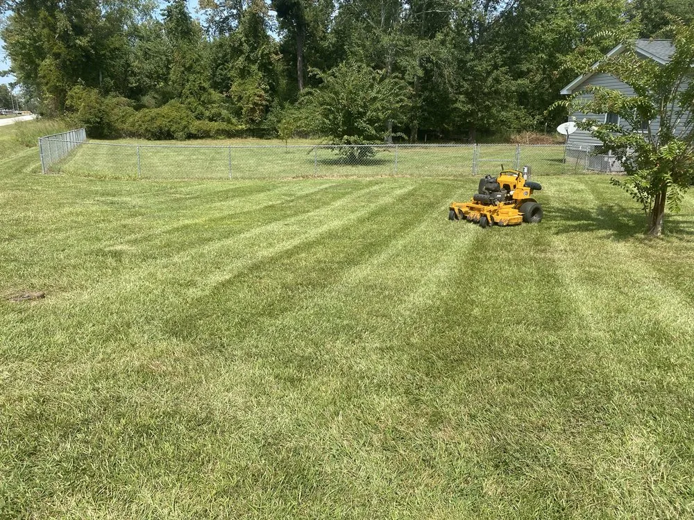 Custom outdoor landscaping for year-round maintenance in Prosperity, SC by Presidential Lawn Care