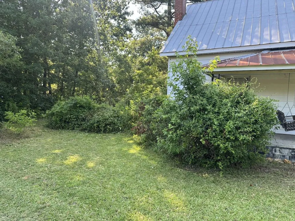 Professional landscape installation in Prosperity, SC - Presidential Lawn Care